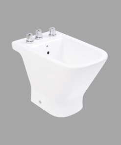 THE GAP BIDET